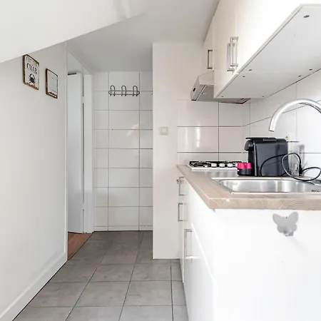 Zandkorrel Zandvoort