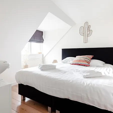 Zandkorrel * Zandvoort