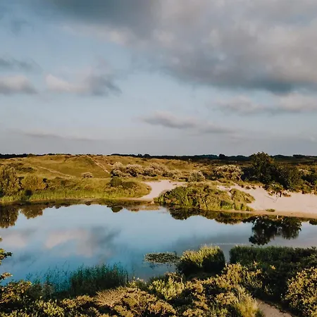 Zandkorrel Zandvoort