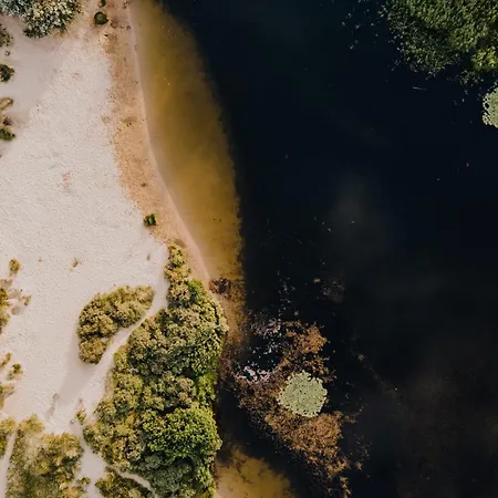 Zandkorrel Zandvoort