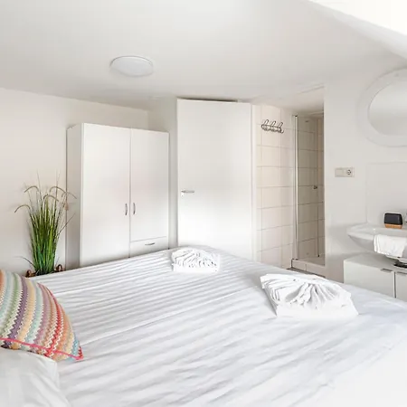 Zandkorrel * Zandvoort