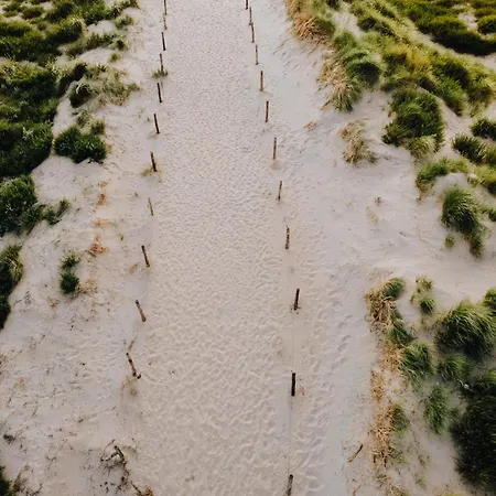 Zandkorrel * Zandvoort